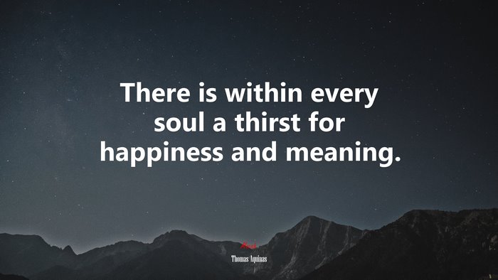 There is within every soul a thirst for happiness and meaning. | Thomas Aquinas quote