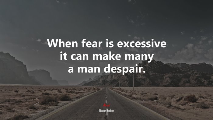 When fear is excessive it can make many a man despair. | Thomas Aquinas quote