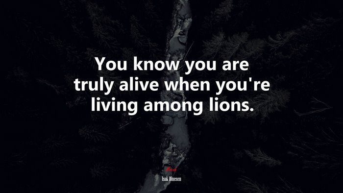 You know you are truly alive when you’re living among lions. | Isak Dinesen quote