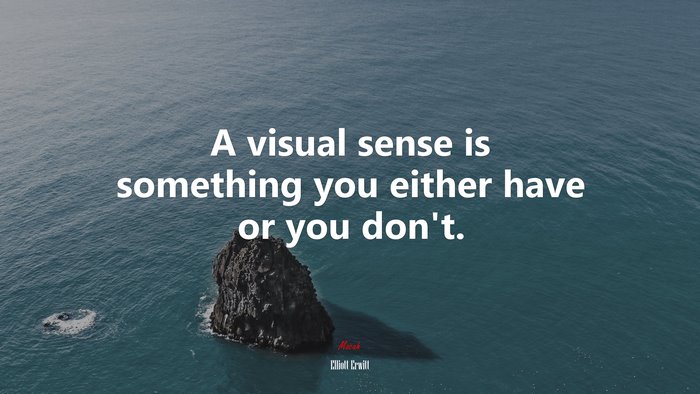 A visual sense is something you either have or you don’t. | Elliott Erwitt quote