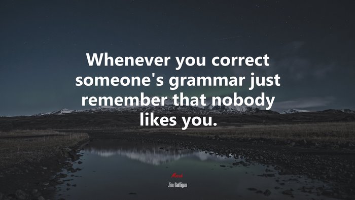 Whenever you correct someone’s grammar just remember that nobody likes you. | Jim Gaffigan quote