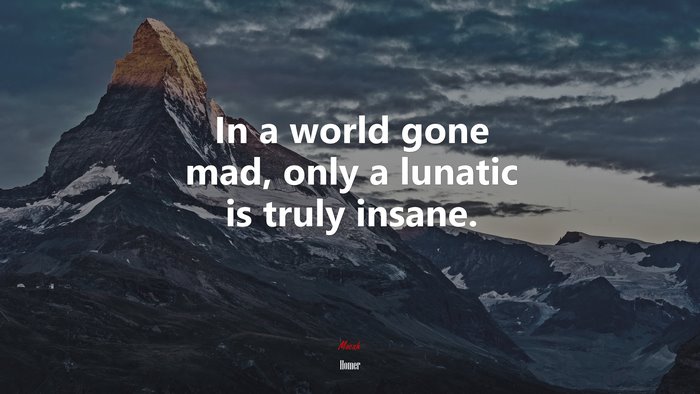 In a world gone mad, only a lunatic is truly insane. | Homer quote