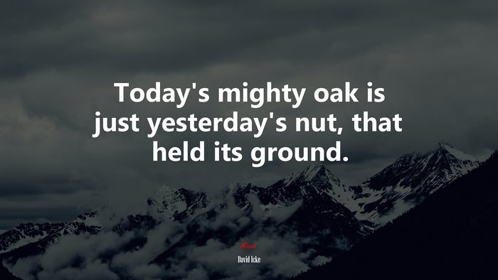 Today’s mighty oak is just yesterday’s nut, that held its ground. | David Icke quote