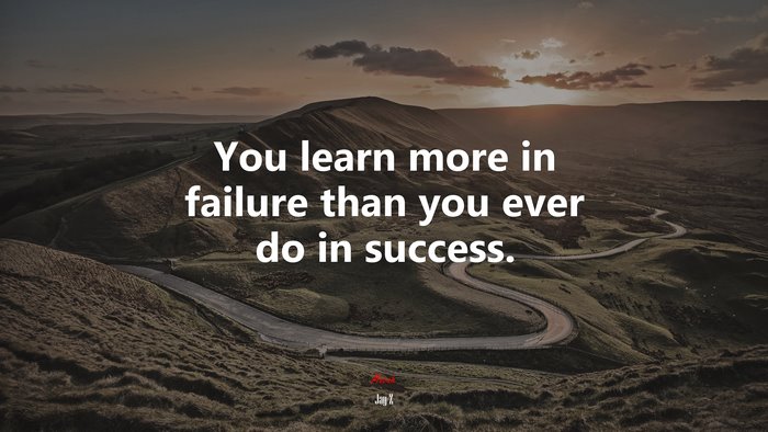 You learn more in failure than you ever do in success. | Jay-Z quote