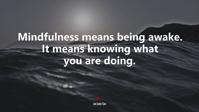 Mindfulness means being awake. It means knowing what you are doing. | Jon Kabat-Zinn quote