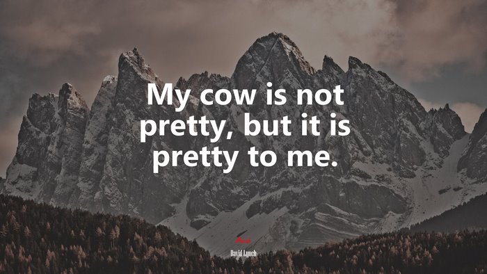 My cow is not pretty, but it is pretty to me. | David Lynch quote
