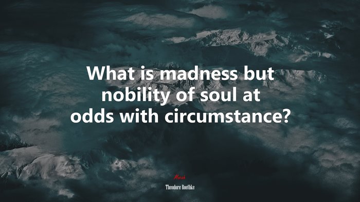 What is madness but nobility of soul at odds with circumstance? | Theodore Roethke quote