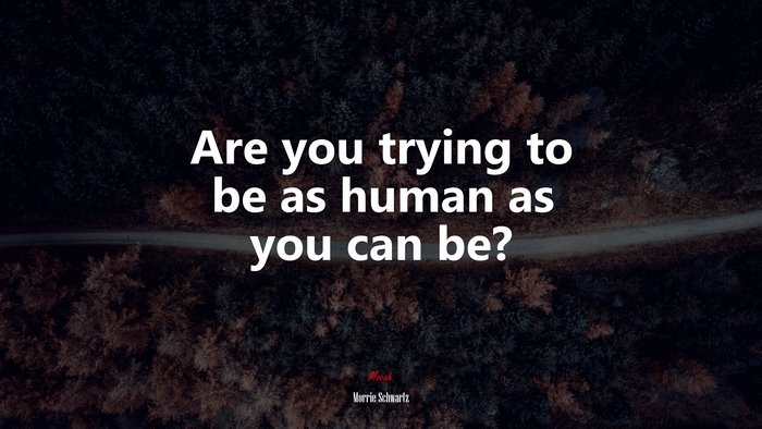 Are you trying to be as human as you can be? | Morrie Schwartz quote