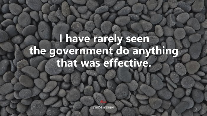 I have rarely seen the government do anything that was effective. | Arnold Schwarzenegger quote