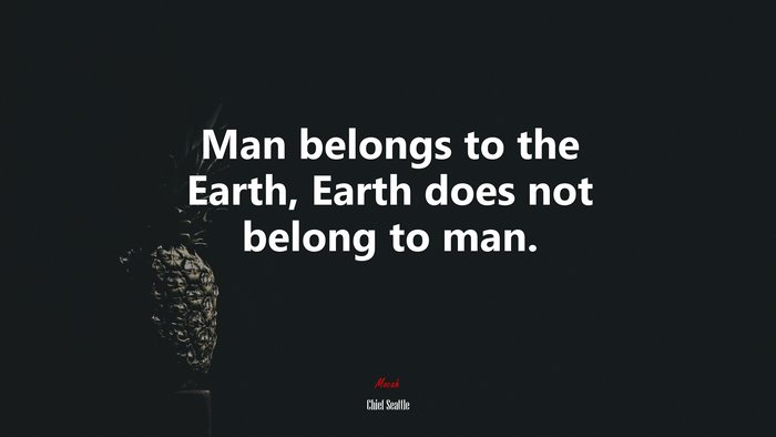 Man belongs to the Earth, Earth does not belong to man. | Chief Seattle quote