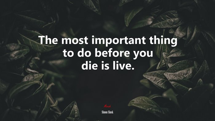 The most important thing to do before you die is live. | Simon Sinek quote