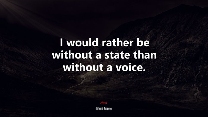 I would rather be without a state than without a voice. | Edward Snowden quote