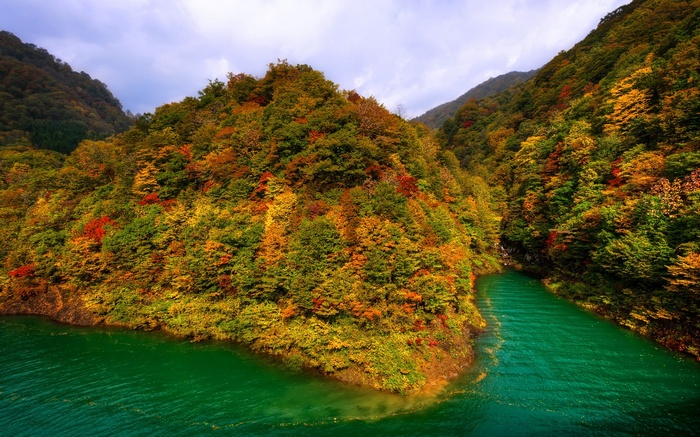 Autumn forest with a turquoise river