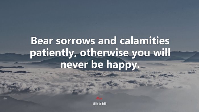 Bear sorrows and calamities patiently, otherwise you will never be happy. | Ali ibn Abi Talib quote