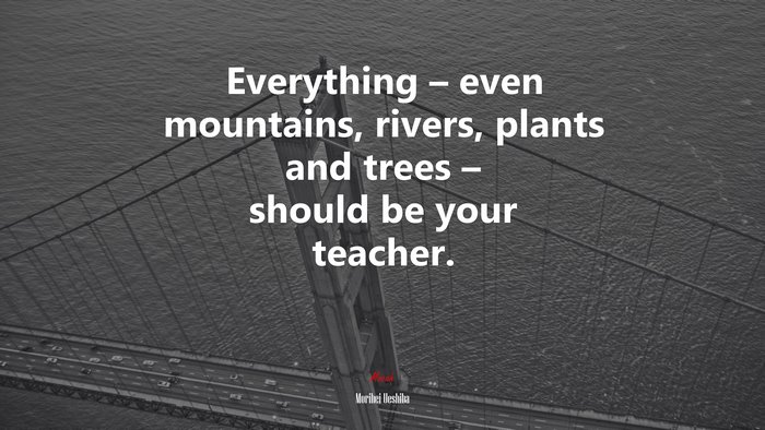 Everything – even mountains, rivers, plants and trees – should be your teacher. | Morihei Ueshiba quote