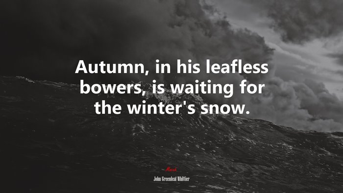 Autumn, in his leafless bowers, is waiting for the winter’s snow. | John Greenleaf Whittier quote