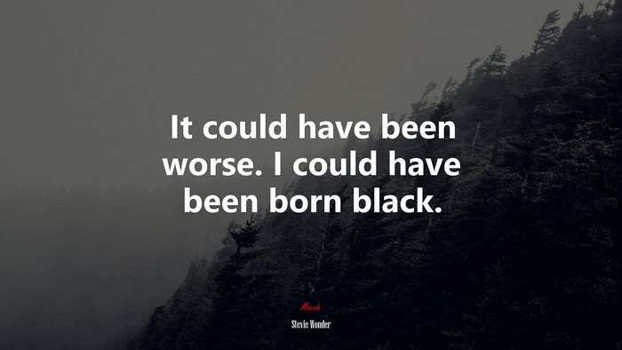 It could have been worse. I could have been born black. | Stevie Wonder quote