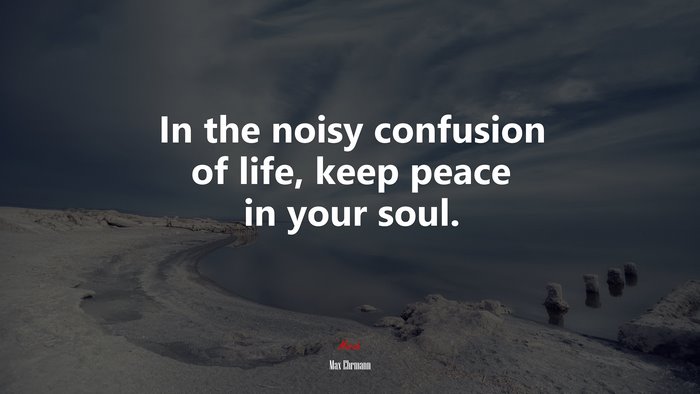 In the noisy confusion of life, keep peace in your soul. | Max Ehrmann quote