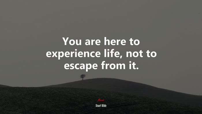 You are here to experience life, not to escape from it. | Stuart Wilde quote
