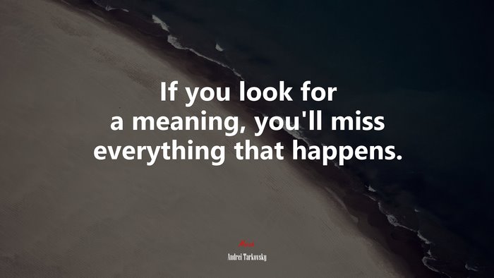 If you look for a meaning, you’ll miss everything that happens. | Andrei Tarkovsky quote