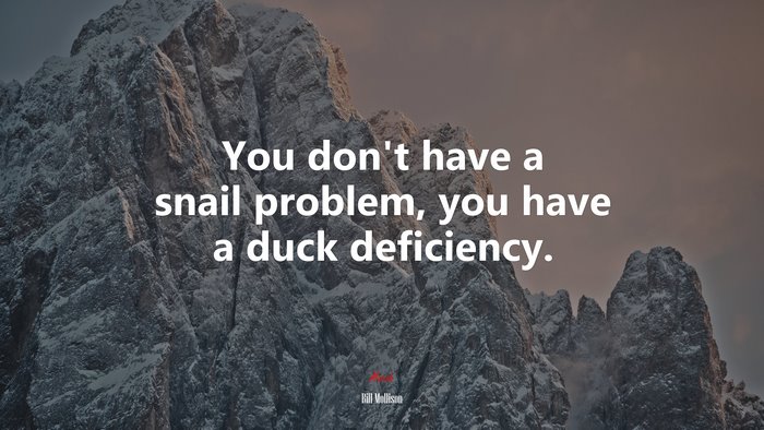 You don’t have a snail problem, you have a duck deficiency. | Bill Mollison quote