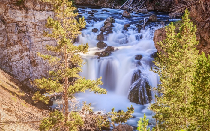 Waterfall cascading over rocks with pine trees