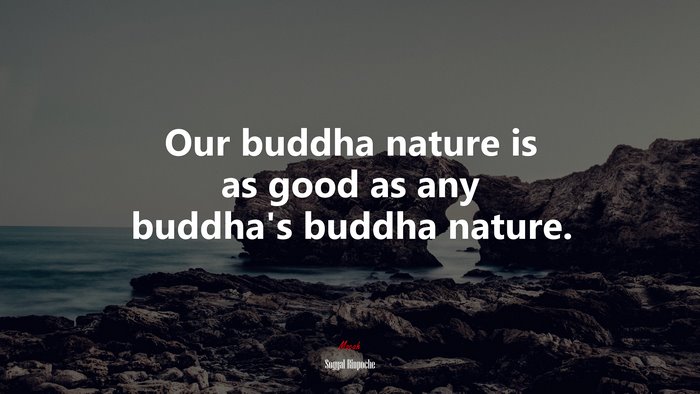 Our buddha nature is as good as any buddha’s buddha nature. | Sogyal Rinpoche quote