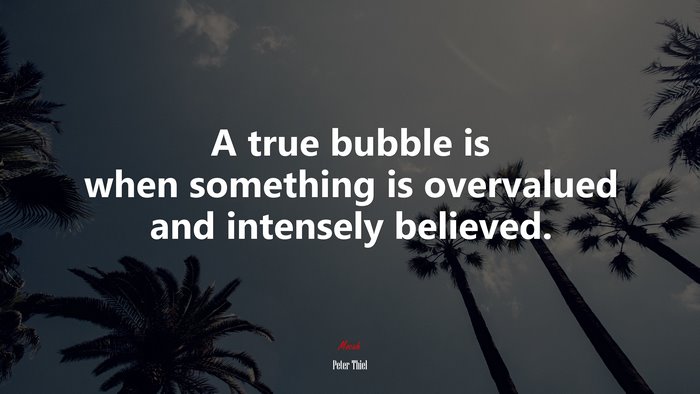 A true bubble is when something is overvalued and intensely believed. | Peter Thiel quote
