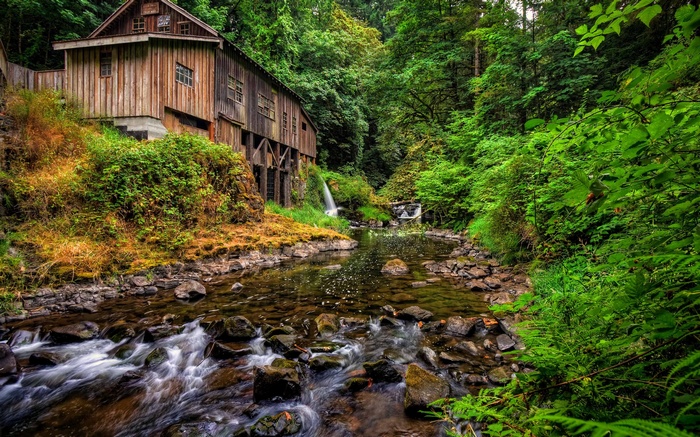 Old wooden mill beside a stream in a forest