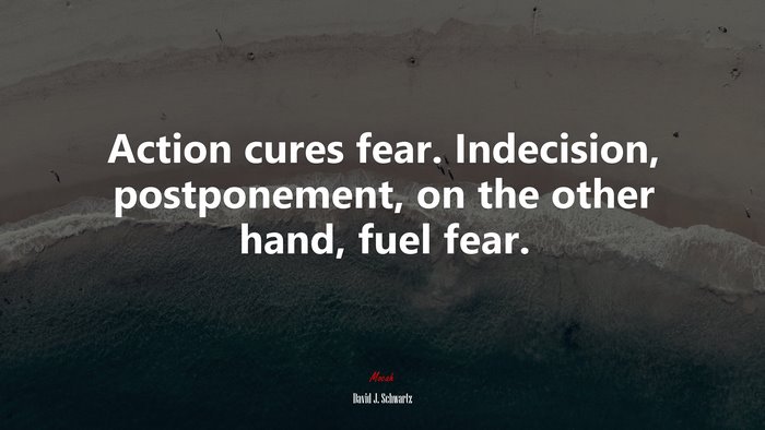 Action cures fear. Indecision, postponement, on the other hand, fuel fear. | David J. Schwartz quote