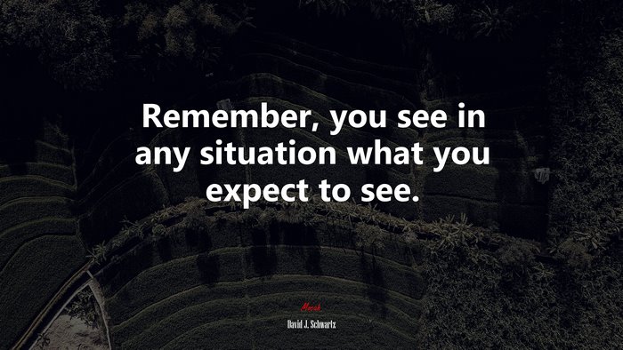 Remember, you see in any situation what you expect to see. | David J. Schwartz quote