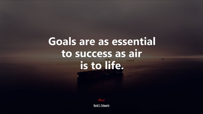 Goals are as essential to success as air is to life. | David J. Schwartz quote