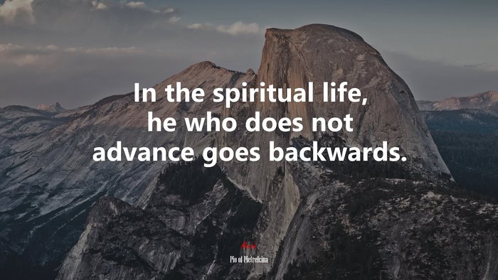 In the spiritual life, he who does not advance goes backwards. | Pio of Pietrelcina quote