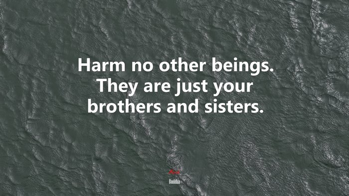 Harm no other beings. They are just your brothers and sisters. | Buddha quote