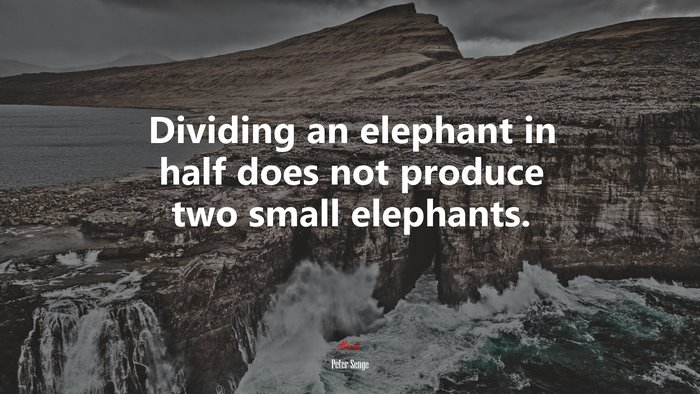 Dividing an elephant in half does not produce two small elephants. | Peter Senge quote