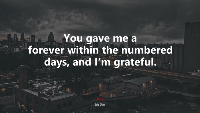You gave me a forever within the numbered days, and I’m grateful. | John Green quote