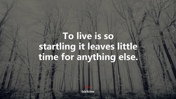 To live is so startling it leaves little time for anything else. | Emily Dickinson quote