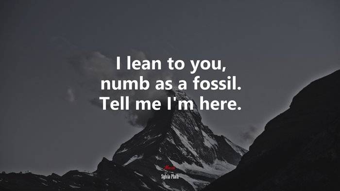 I lean to you, numb as a fossil. Tell me I’m here. | Sylvia Plath quote