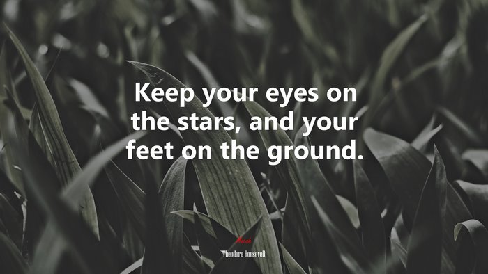 Keep your eyes on the stars, and your feet on the ground. | Theodore Roosevelt quote