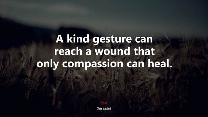A kind gesture can reach a wound that only compassion can heal. | Steve Maraboli quote