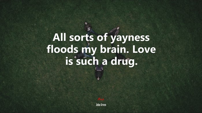 All sorts of yayness floods my brain. Love is such a drug. | John Green quote