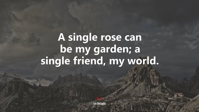 A single rose can be my garden; a single friend, my world. | Leo Buscaglia quote