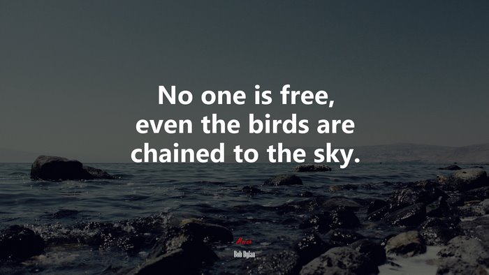 No one is free, even the birds are chained to the sky. | Bob Dylan quote