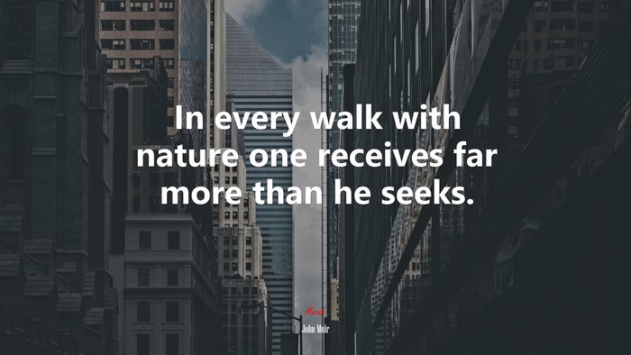 In every walk with nature one receives far more than he seeks. | John Muir quote