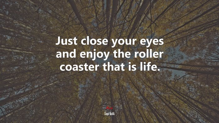 Just close your eyes and enjoy the roller coaster that is life. | Zayn Malik quote