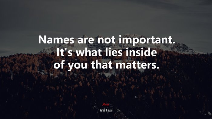 Names are not important. It’s what lies inside of you that matters. | Sarah J. Maas quote