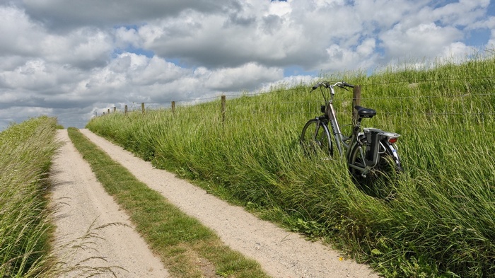 Bicycle on a grassy path under a cloudy sky