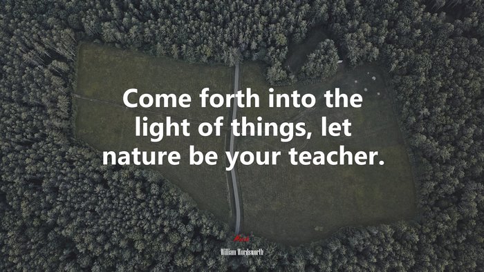 Come forth into the light of things, let nature be your teacher. | William Wordsworth quote