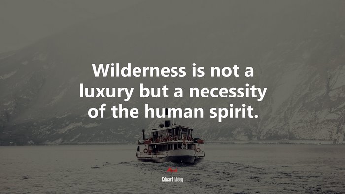 Wilderness is not a luxury but a necessity of the human spirit. | Edward Abbey quote