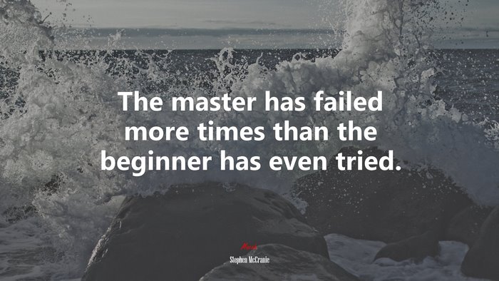 The master has failed more times than the beginner has even tried. | Stephen McCranie quote